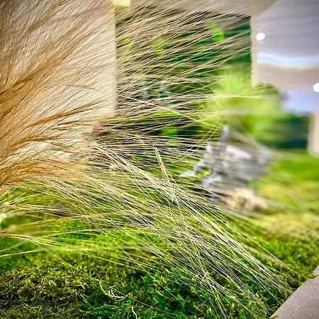 Il Cavallino Rosso Hotel 3*